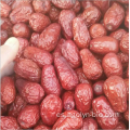 Nuevas fechas de jujube secas para la venta en venta